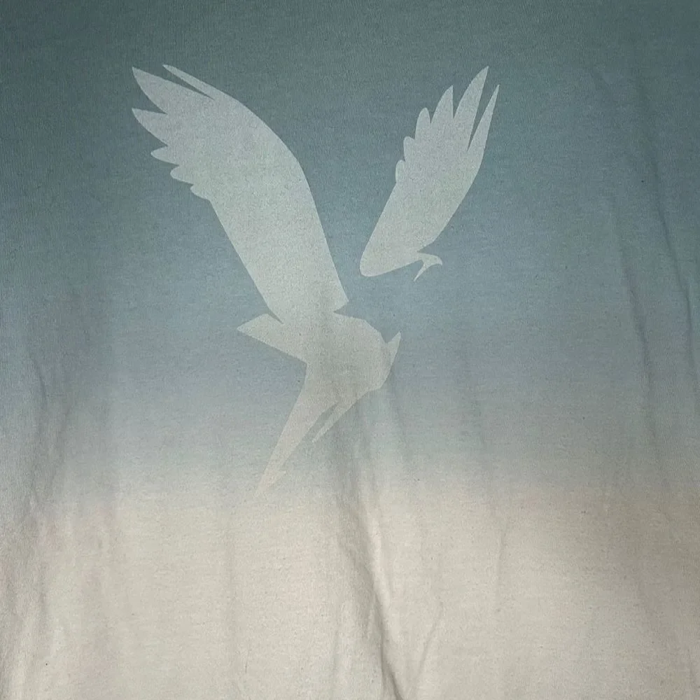 American Eagle Dip-Dye Graphic Tee Unisex Blue Crew Neck Short Sleeve T-Shirt S